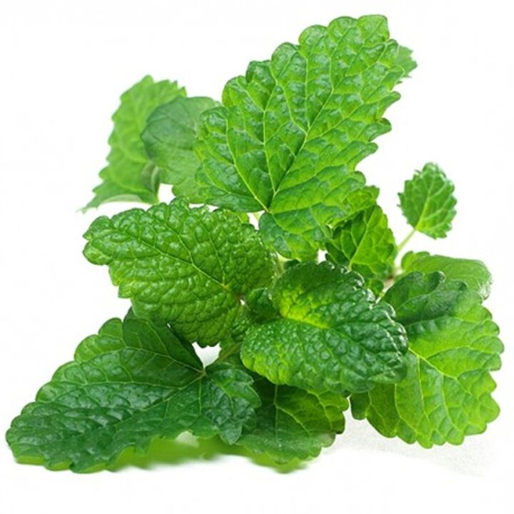 Lemon Balm Syrup Welltone